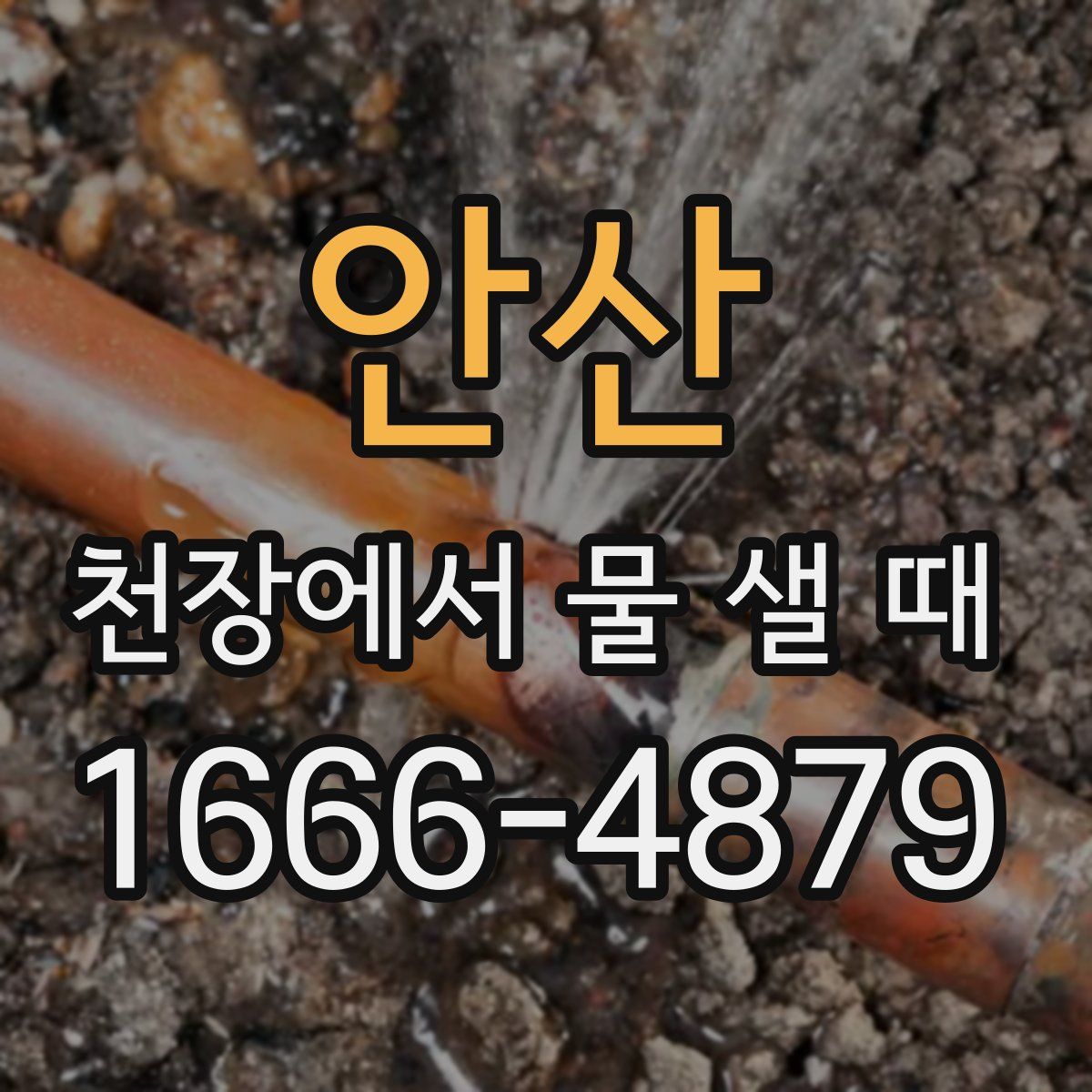 안산 천장에서 물 샐 때