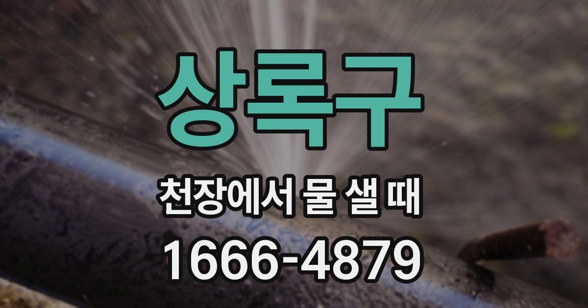 상록구 천장에서 물 샐 때