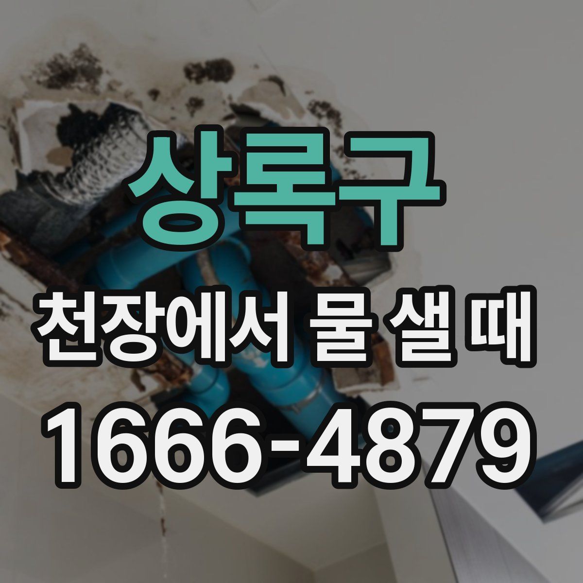 상록구 천장에서 물 샐 때