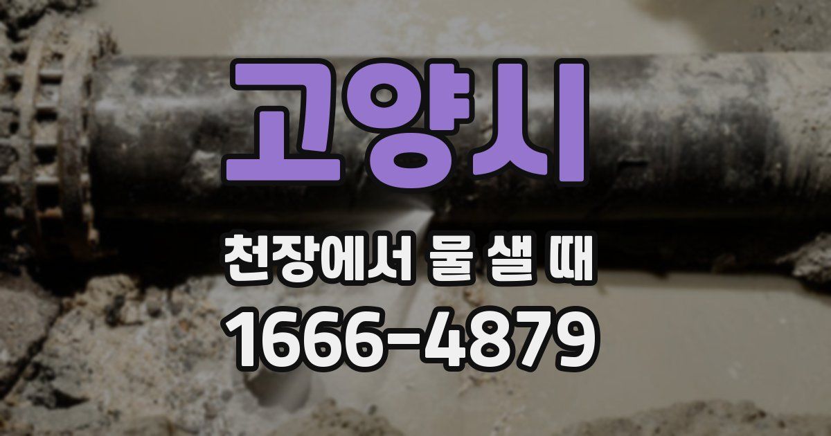 고양시 천장에서 물 샐 때