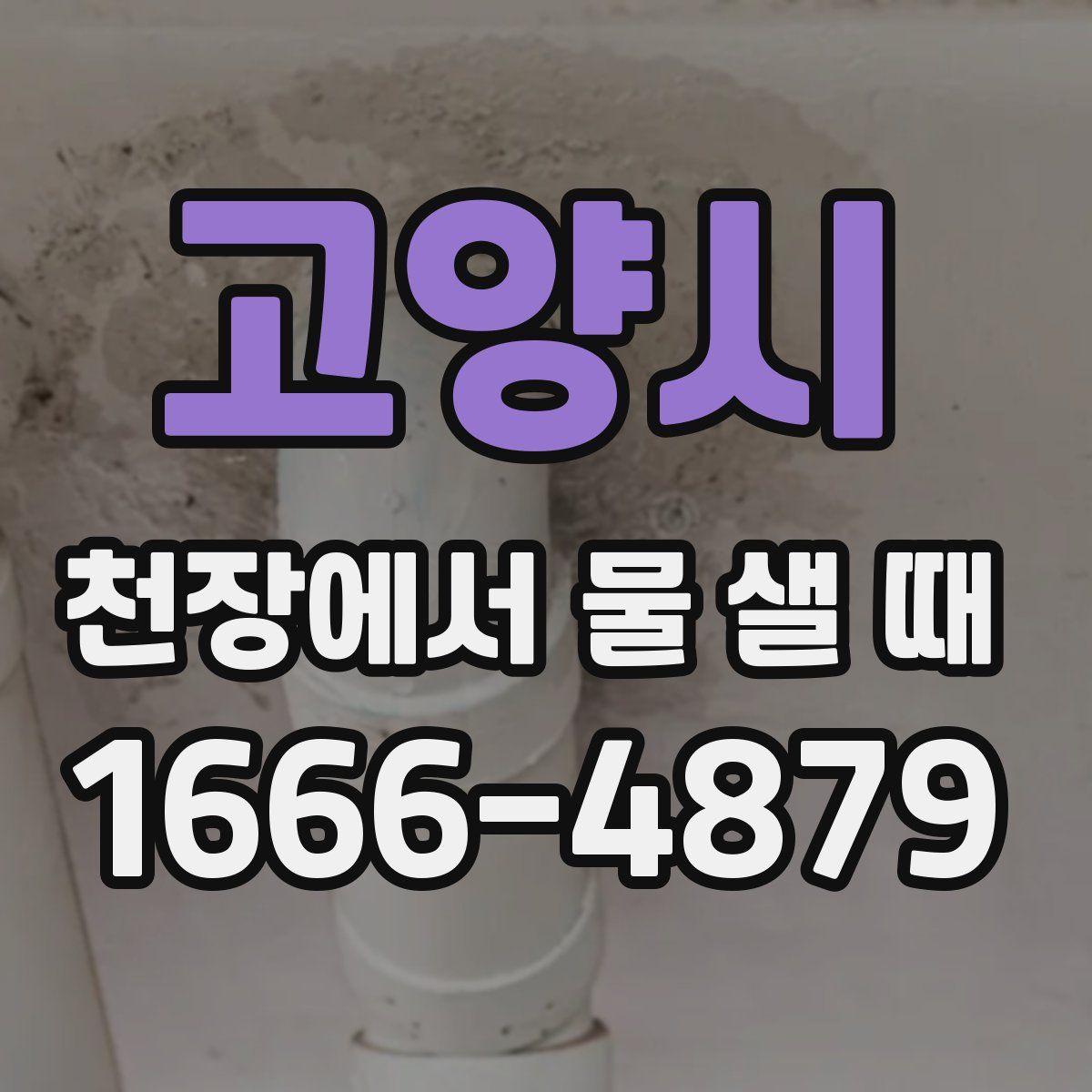 고양시 천장에서 물 샐 때