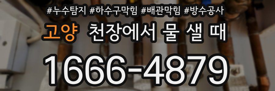 고양 천장에서 물 샐 때