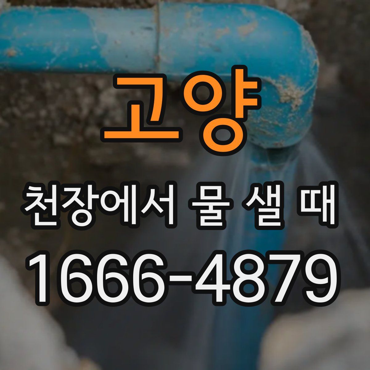 고양 천장에서 물 샐 때