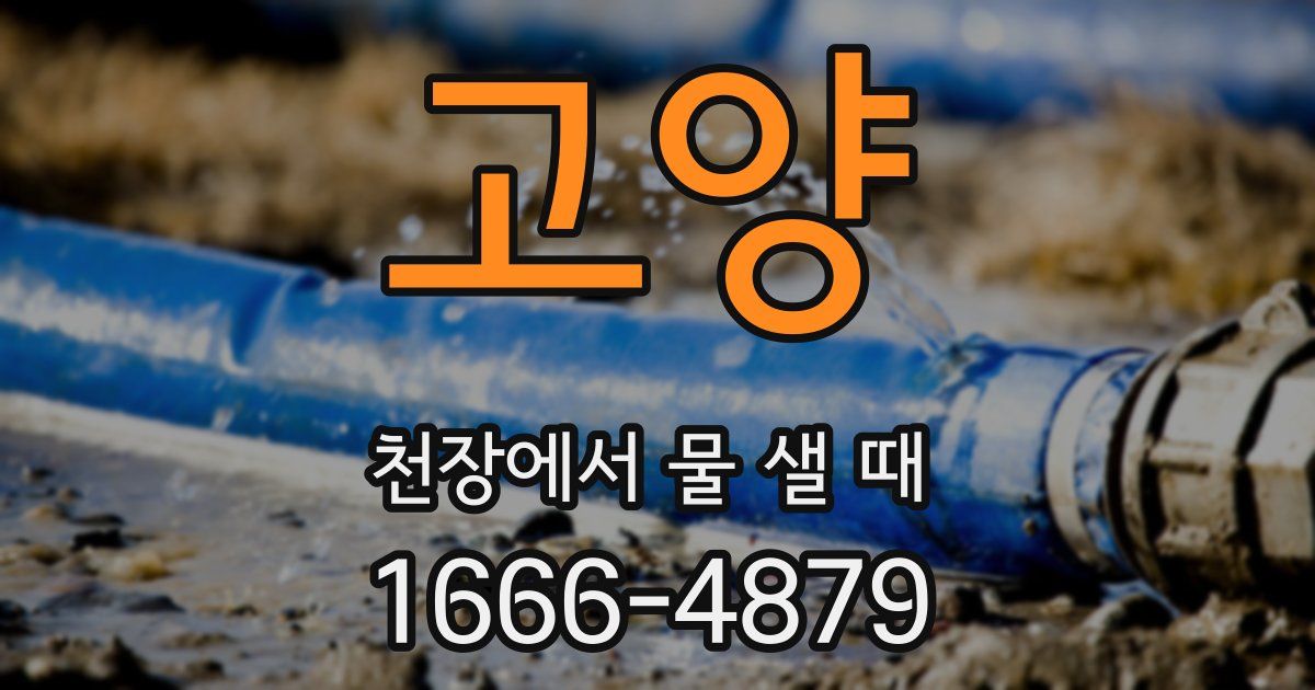 고양 천장에서 물 샐 때