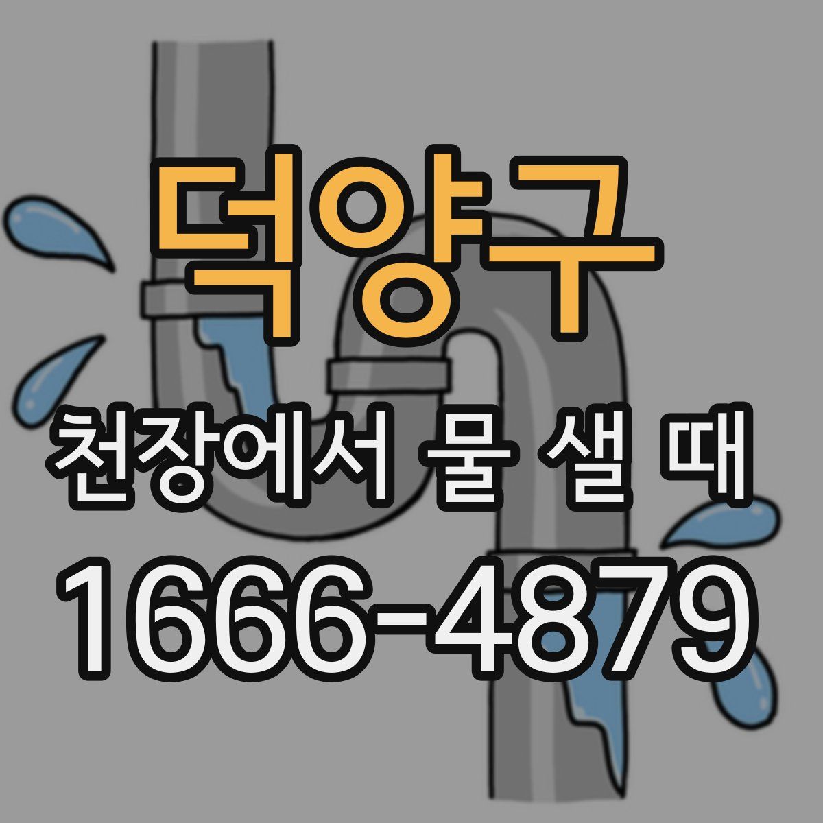 덕양구 천장에서 물 샐 때