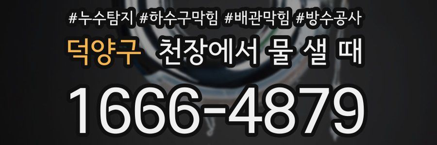 덕양구 천장에서 물 샐 때