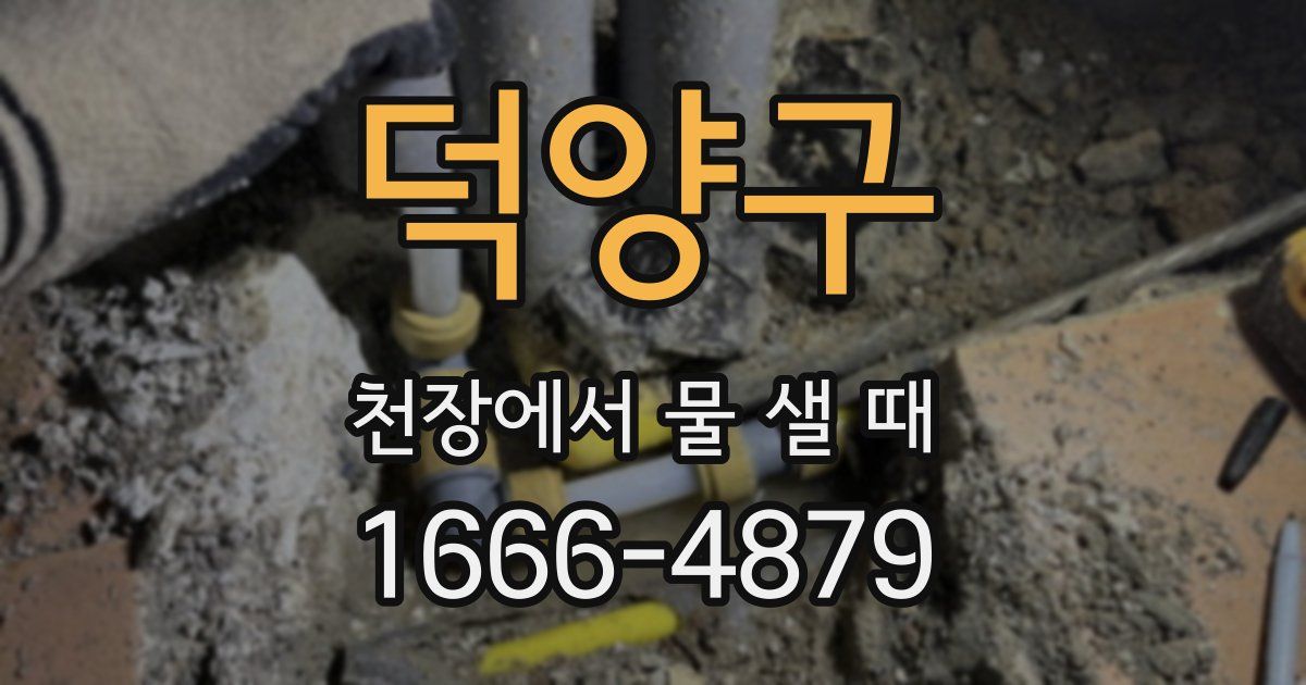 덕양구 천장에서 물 샐 때