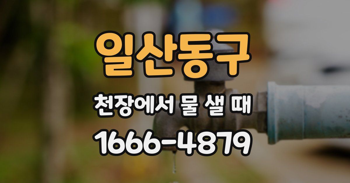 일산동구 천장에서 물 샐 때