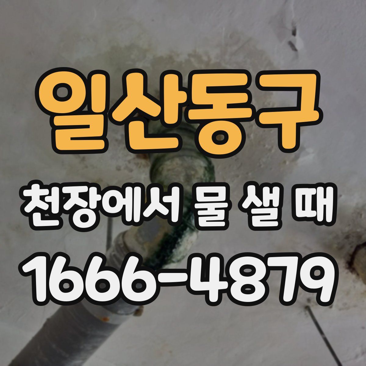 일산동구 천장에서 물 샐 때