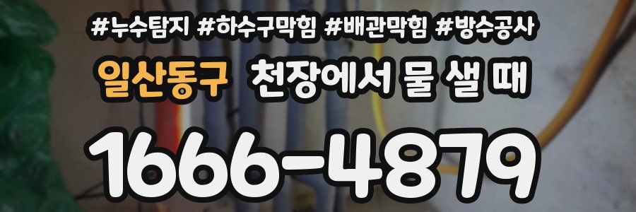 일산동구 천장에서 물 샐 때