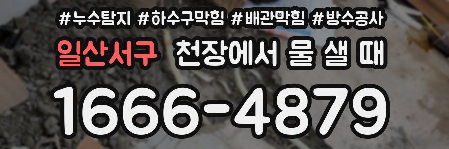 일산서구 천장에서 물 샐 때