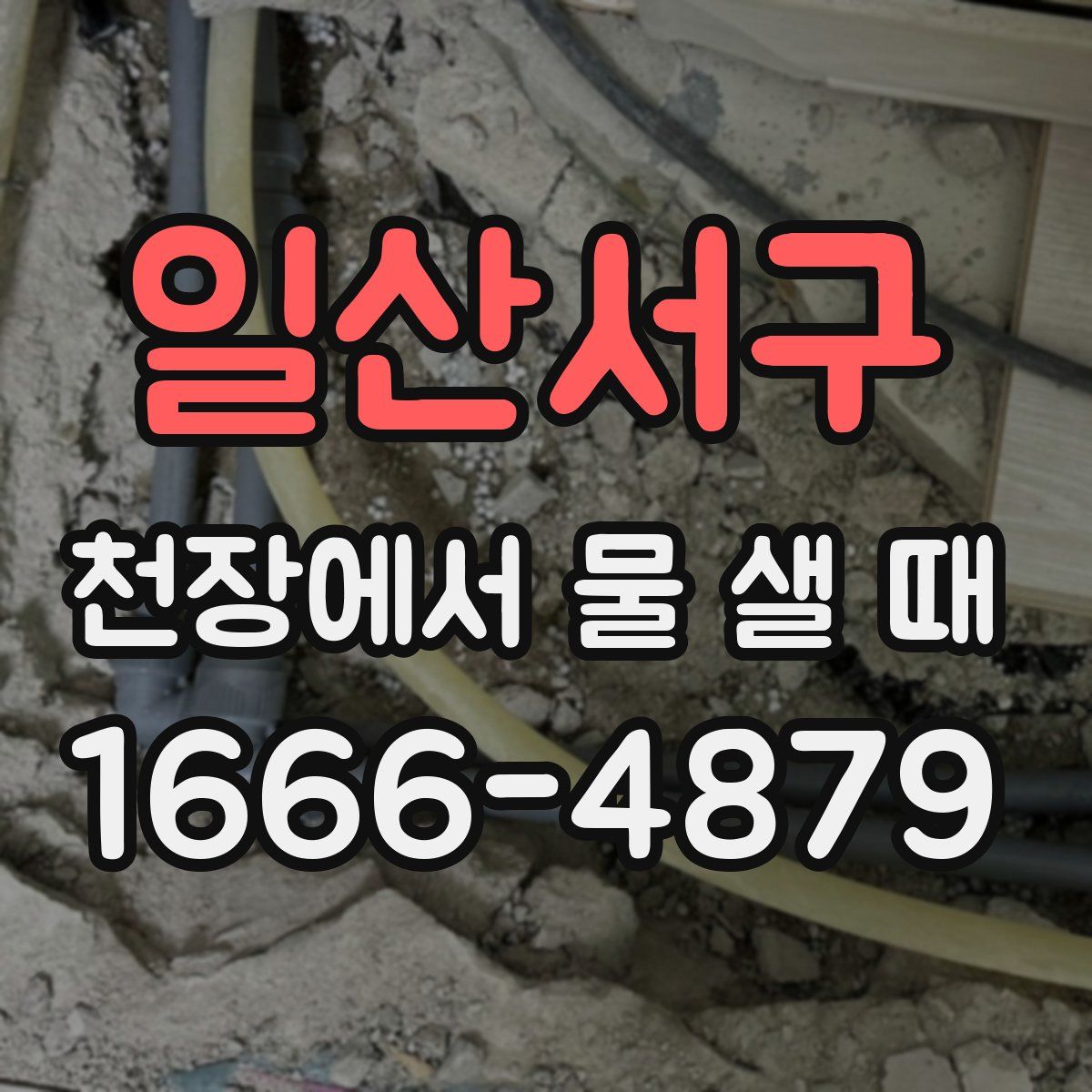 일산서구 천장에서 물 샐 때