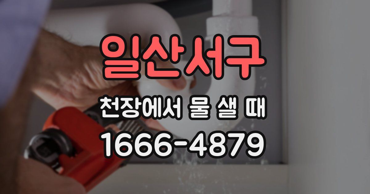 일산서구 천장에서 물 샐 때