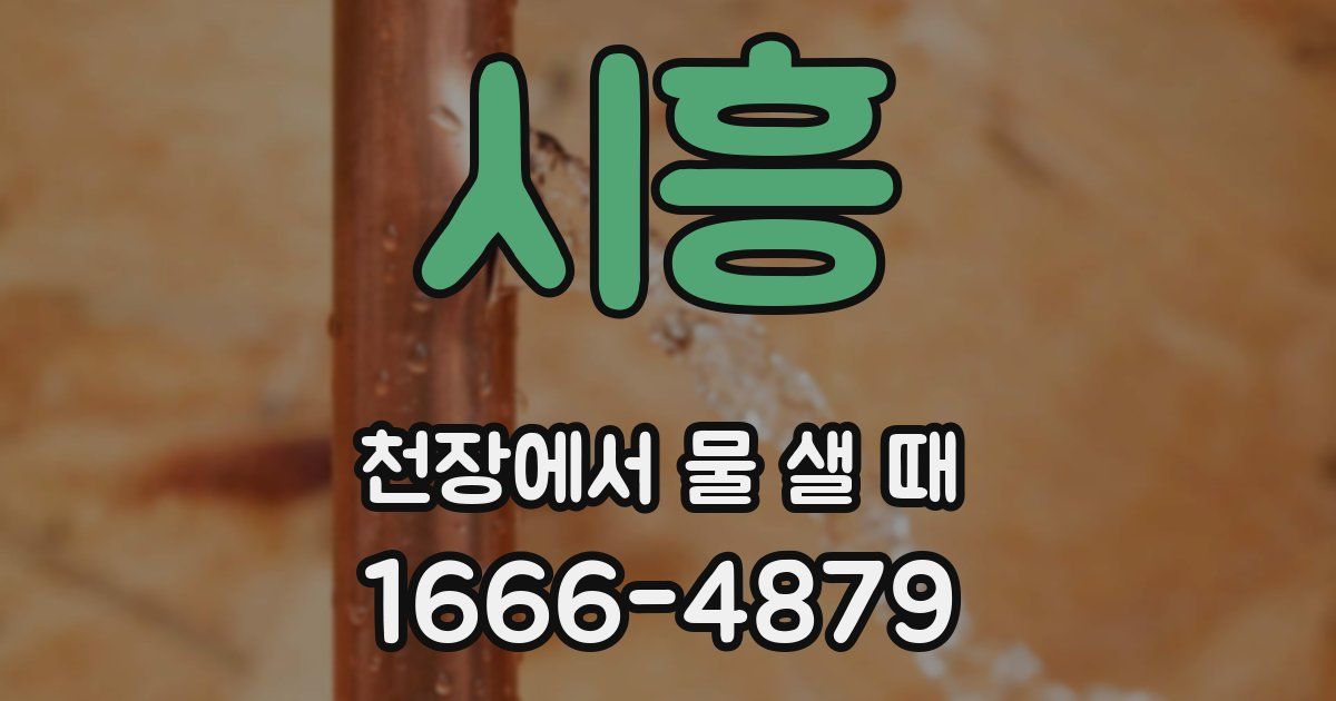 시흥 천장에서 물 샐 때