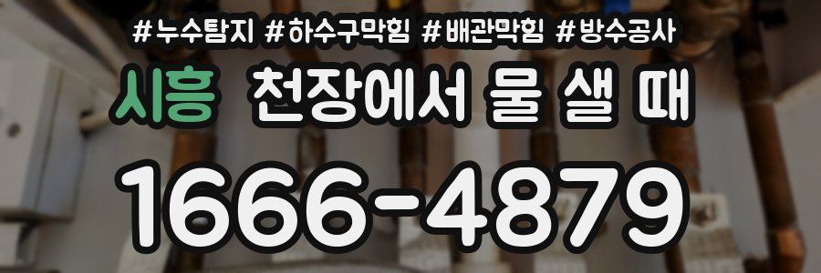 시흥 천장에서 물 샐 때