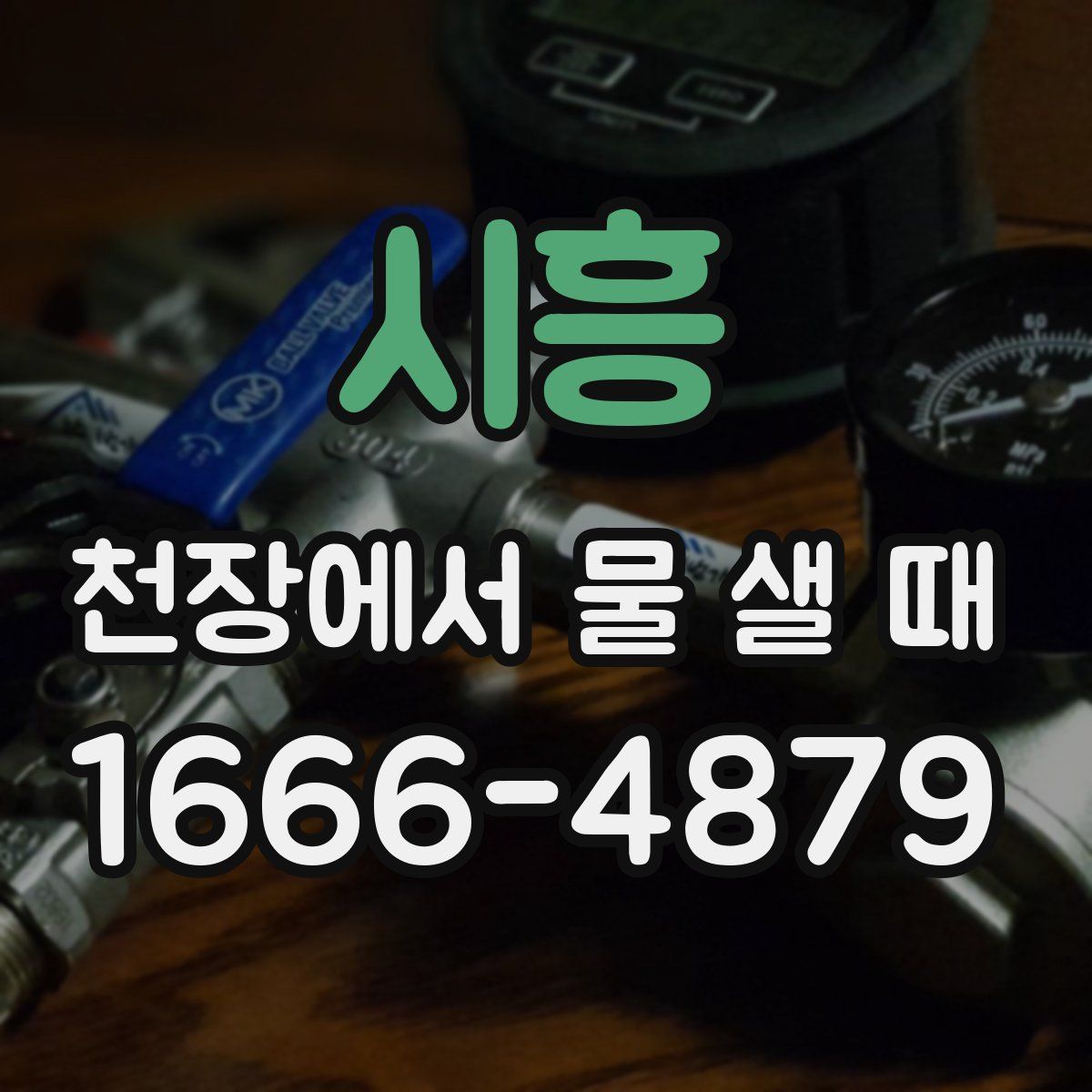 시흥 천장에서 물 샐 때