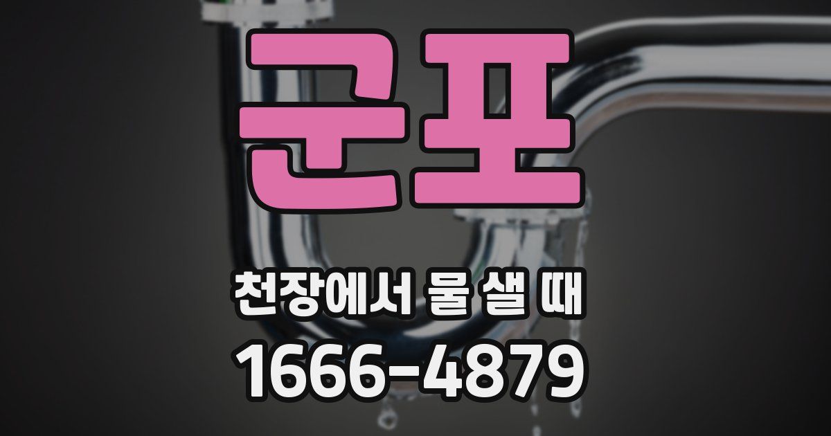 군포 천장에서 물 샐 때