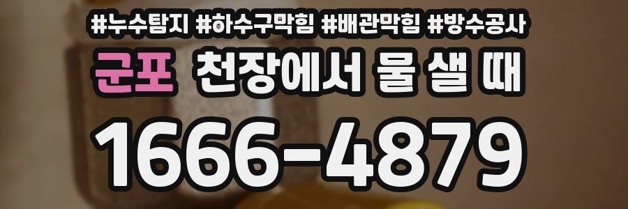 군포 천장에서 물 샐 때
