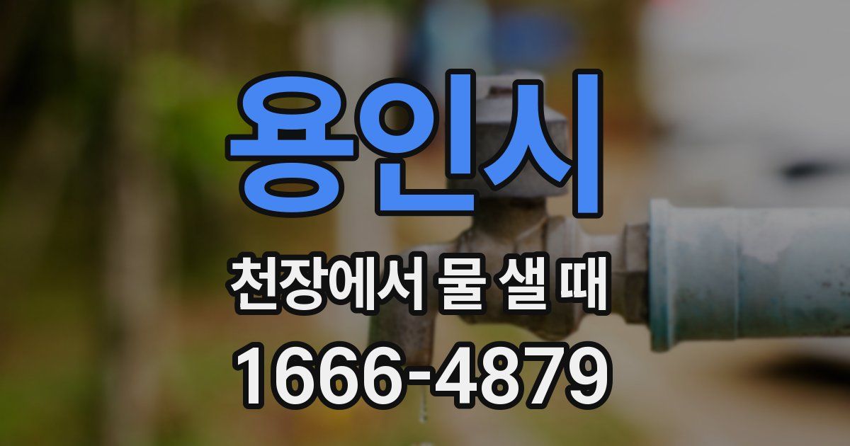 용인시 천장에서 물 샐 때