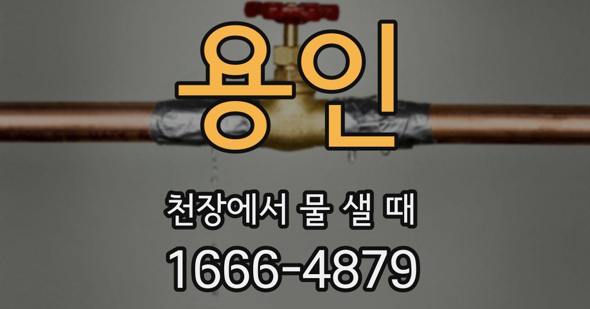 용인 천장에서 물 샐 때