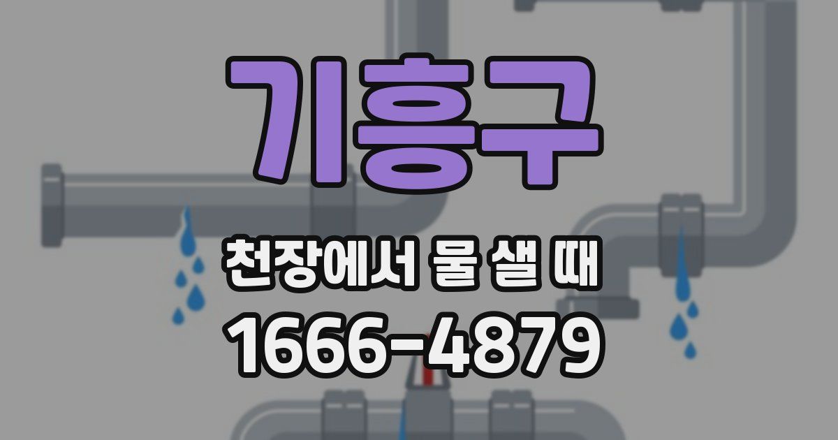 기흥구 천장에서 물 샐 때
