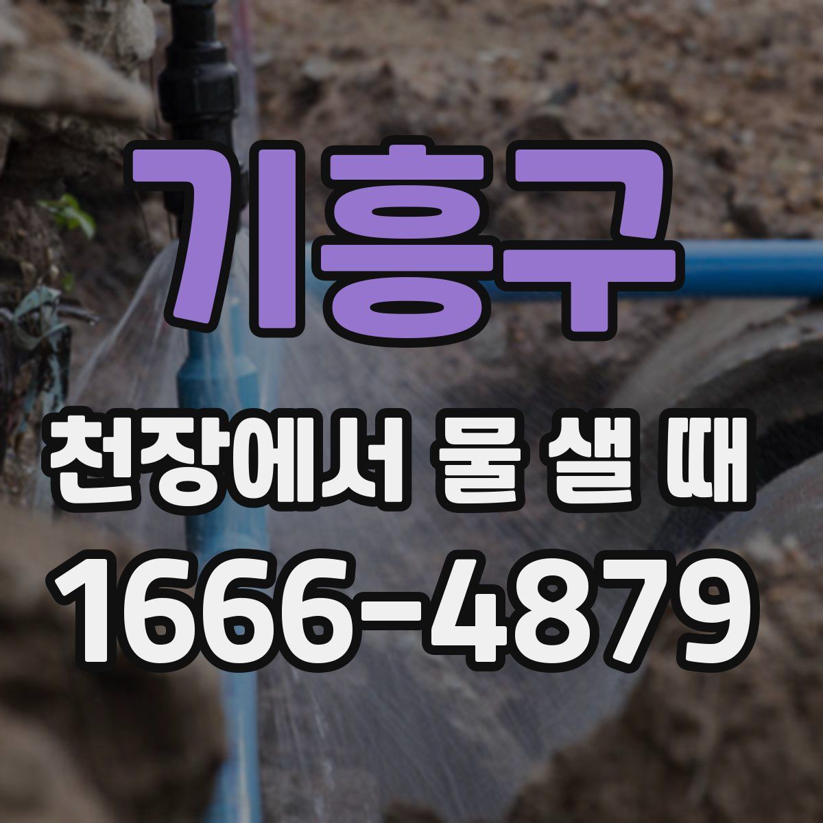 기흥구 천장에서 물 샐 때