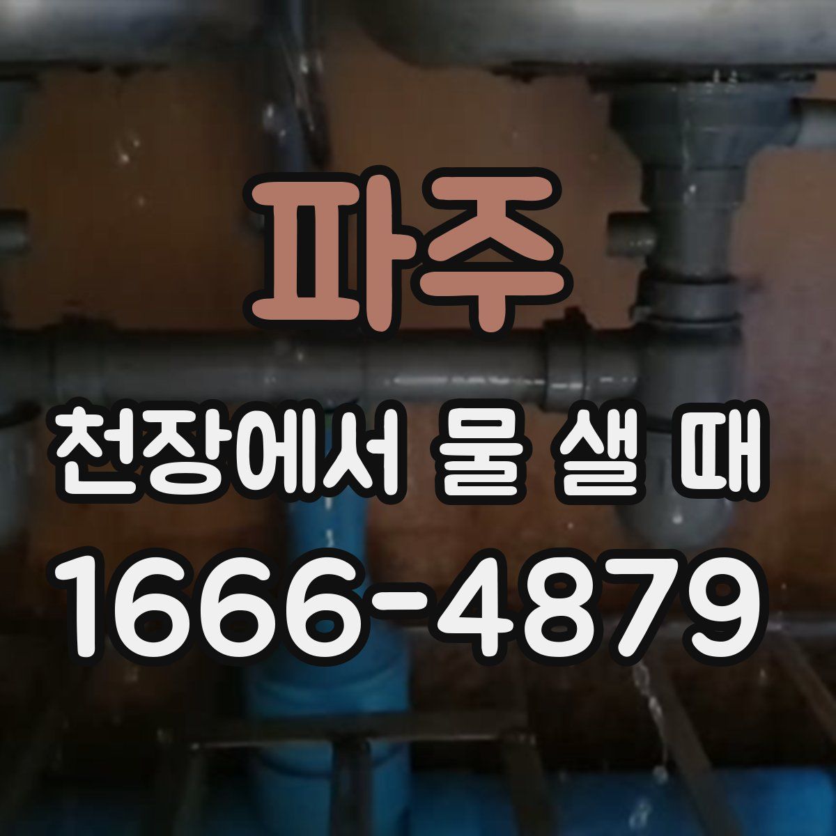 파주 천장에서 물 샐 때