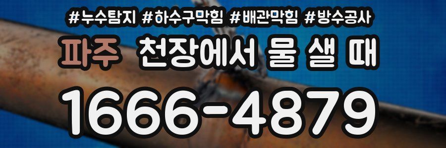 파주 천장에서 물 샐 때