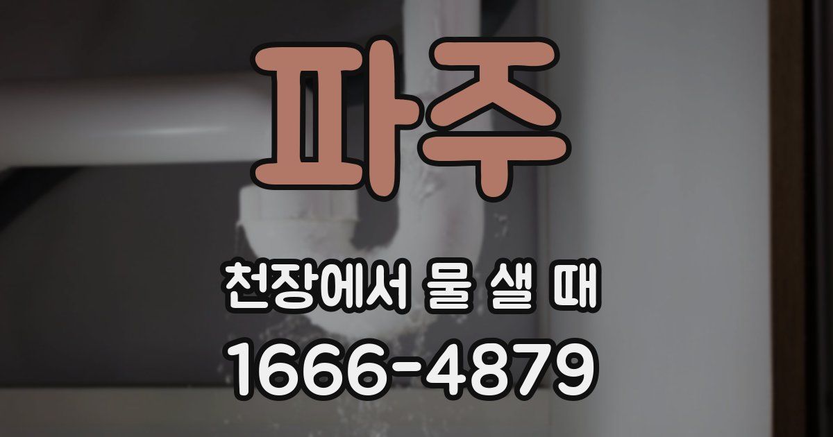 파주 천장에서 물 샐 때