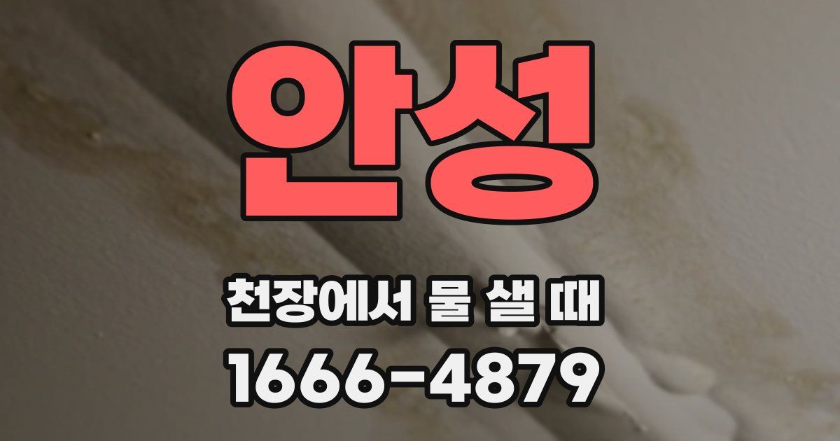 안성 천장에서 물 샐 때