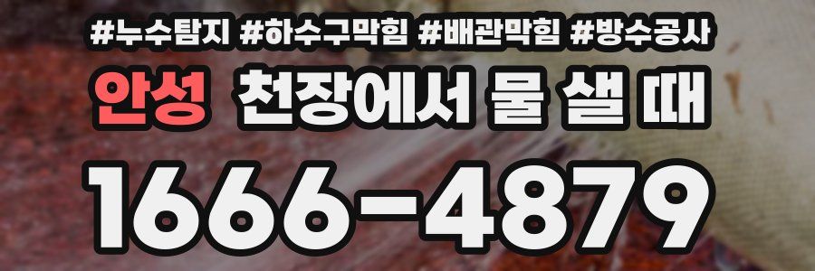 안성 천장에서 물 샐 때