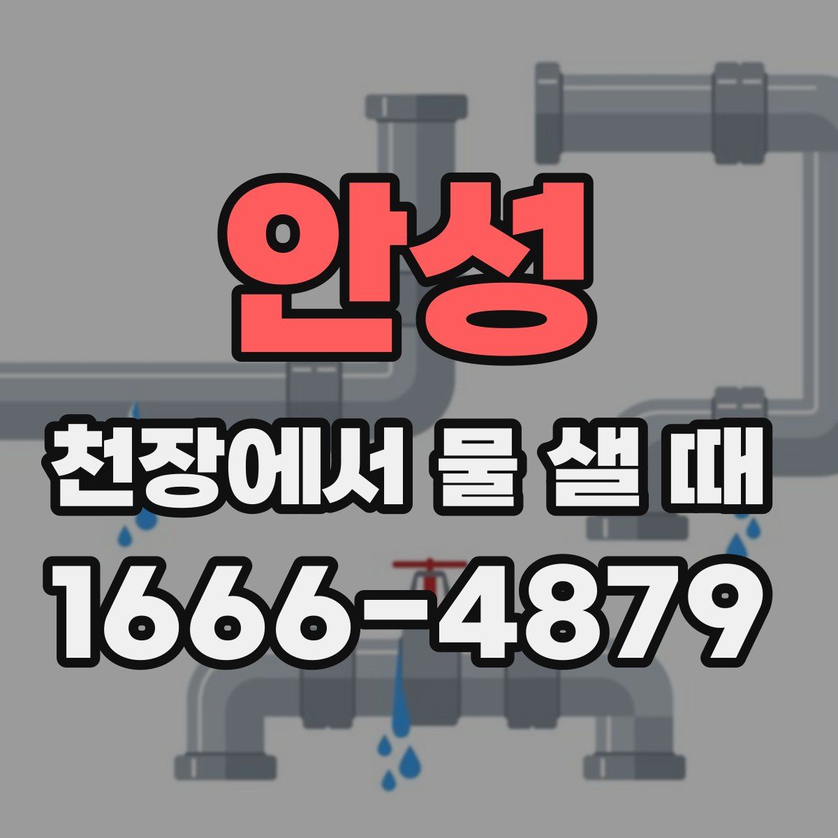 안성 천장에서 물 샐 때