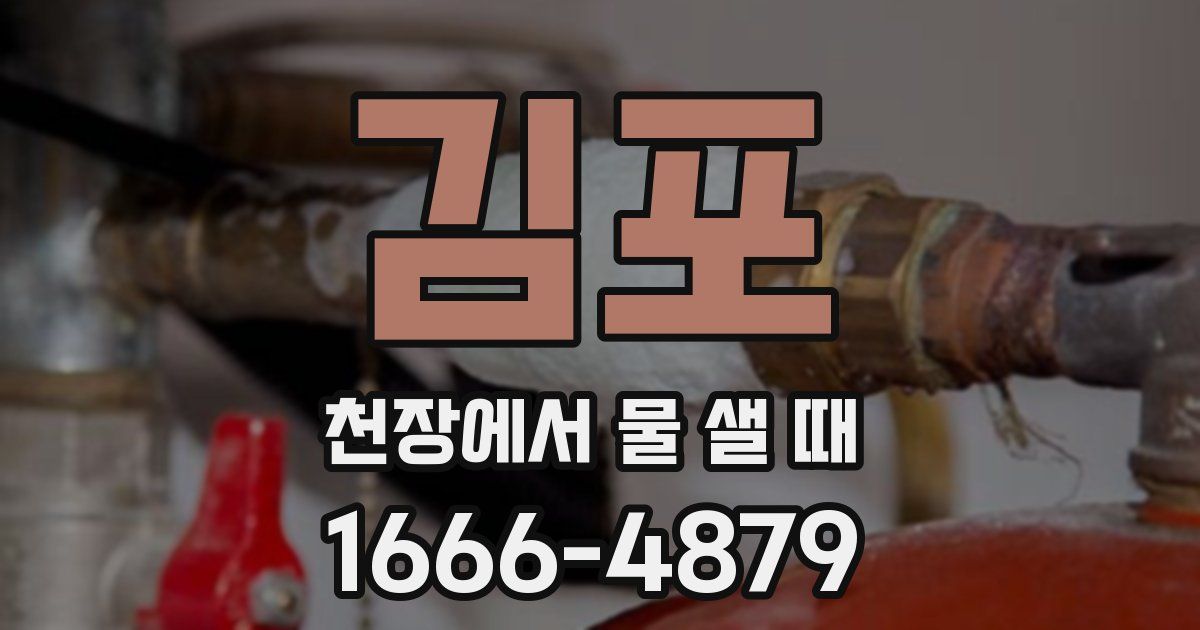 김포 천장에서 물 샐 때