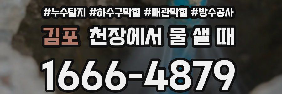 김포 천장에서 물 샐 때