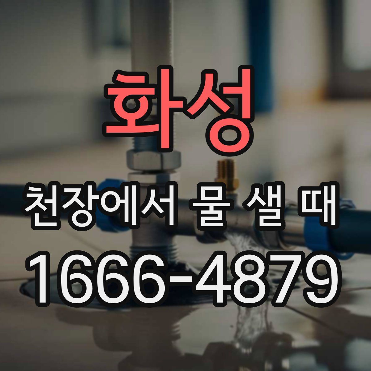 화성 천장에서 물 샐 때