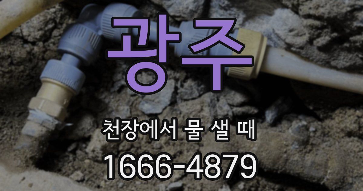광주 천장에서 물 샐 때