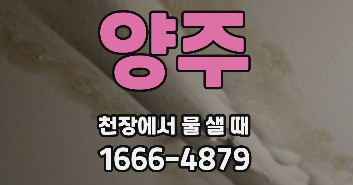 양주 천장에서 물 샐 때