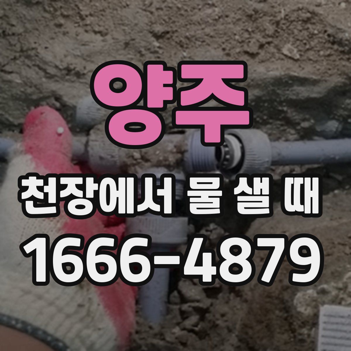 양주 천장에서 물 샐 때