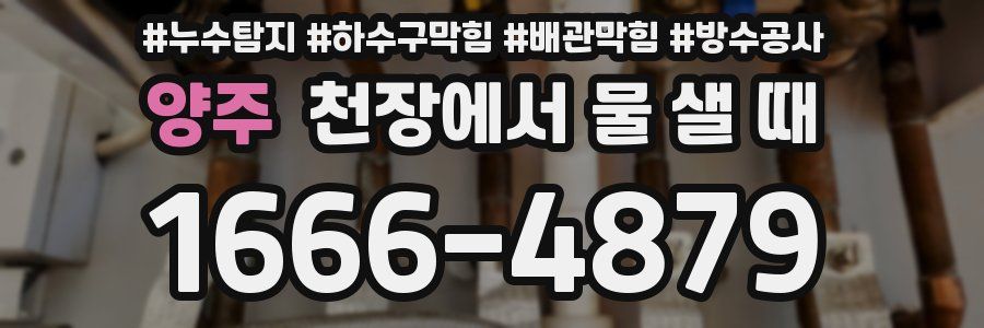 양주 천장에서 물 샐 때