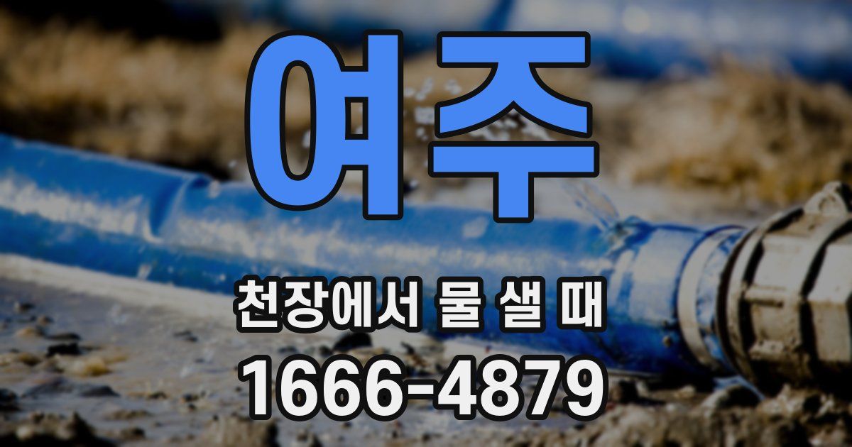 여주 천장에서 물 샐 때