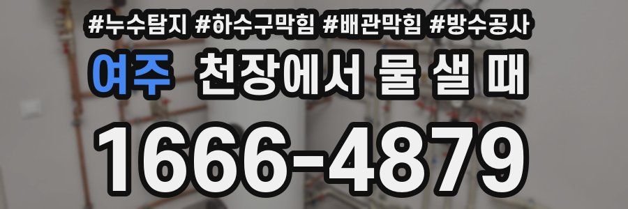 여주 천장에서 물 샐 때