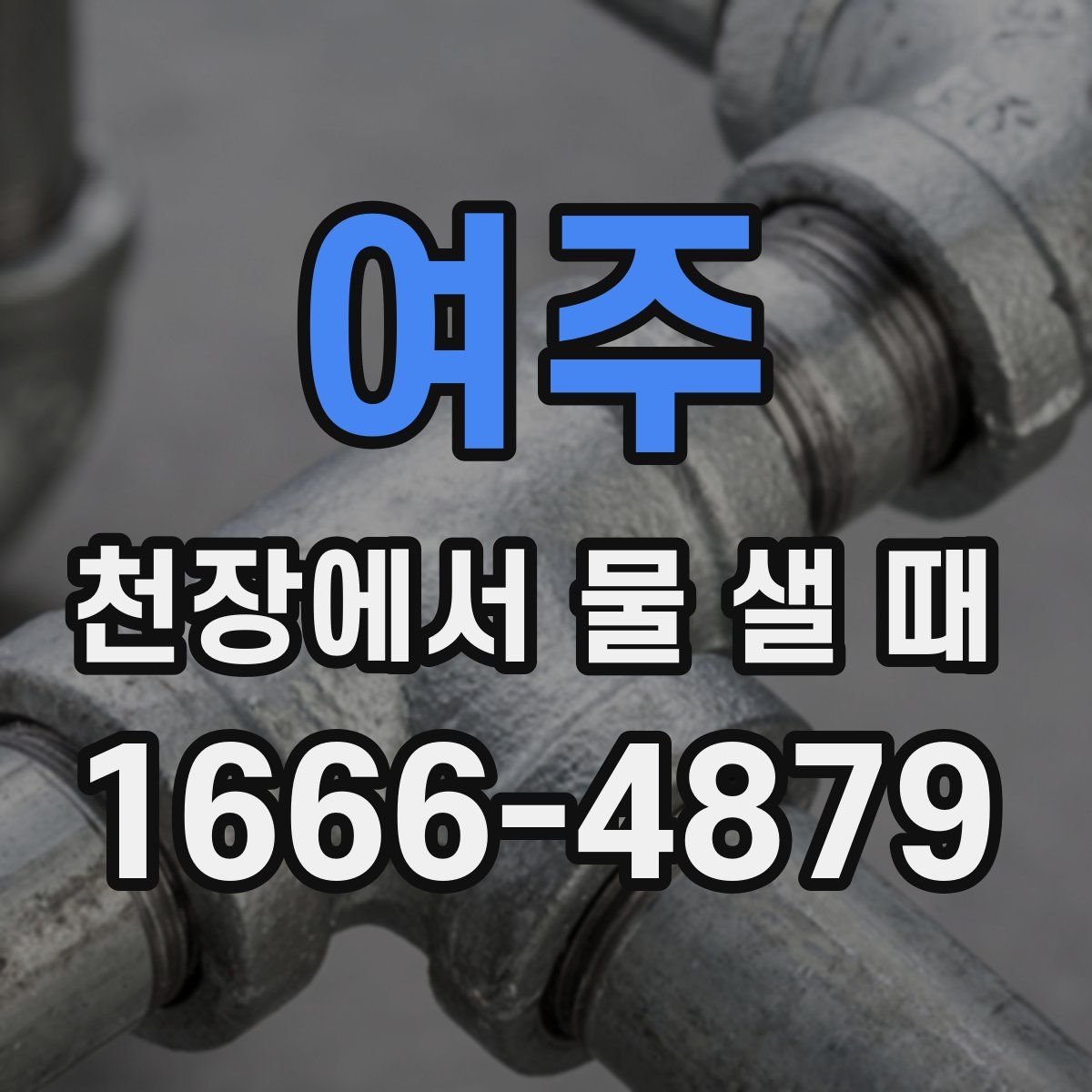 여주 천장에서 물 샐 때
