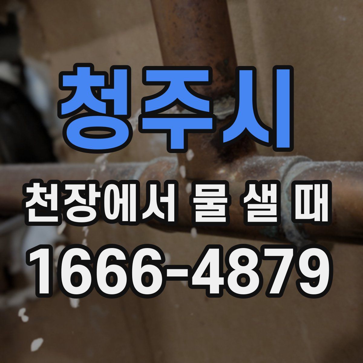 청주시 천장에서 물 샐 때