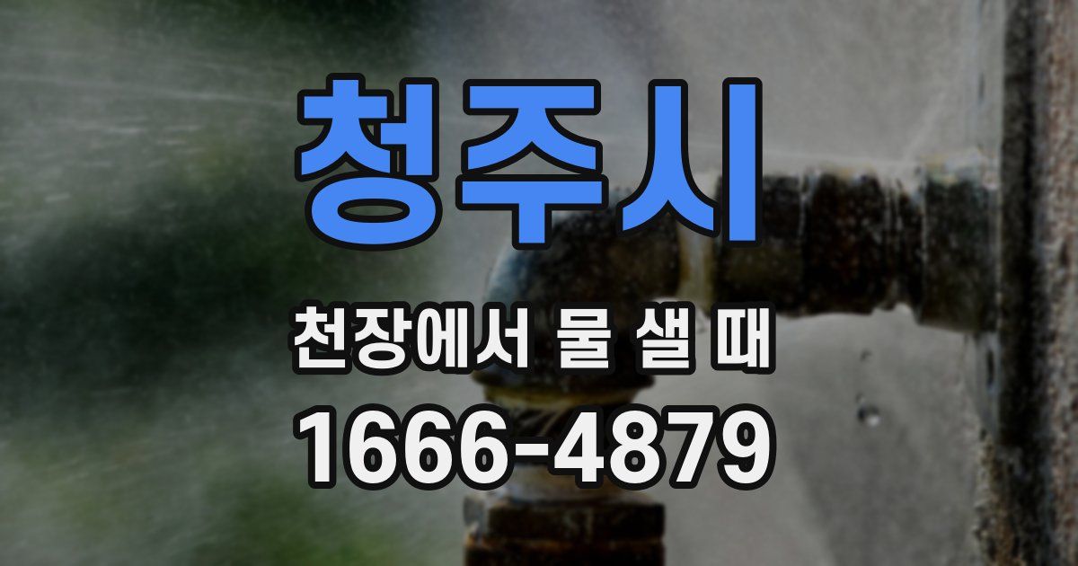 청주시 천장에서 물 샐 때