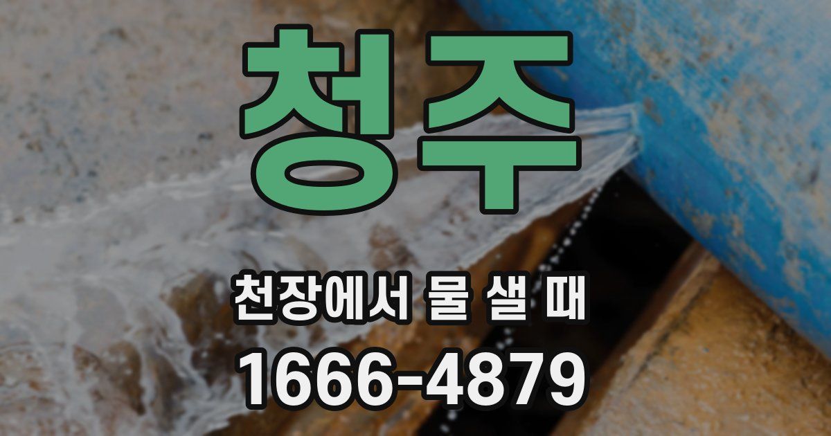 청주 천장에서 물 샐 때