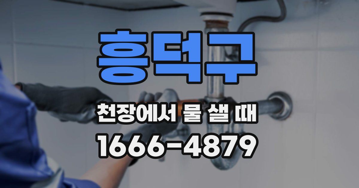 흥덕구 천장에서 물 샐 때