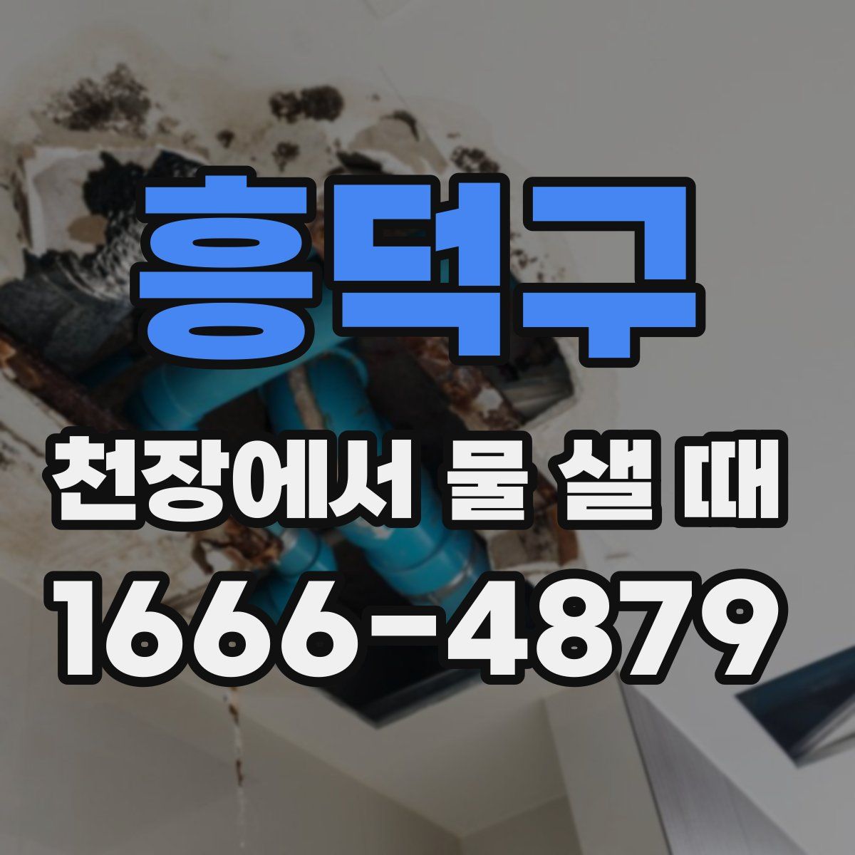 흥덕구 천장에서 물 샐 때