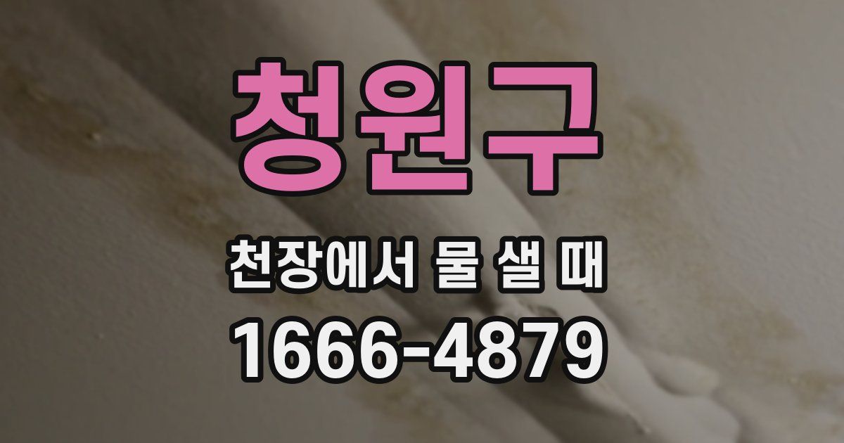 청원구 천장에서 물 샐 때