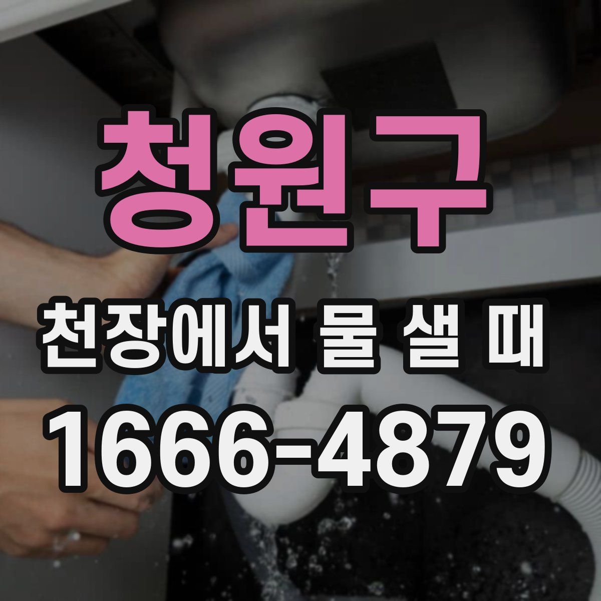 청원구 천장에서 물 샐 때