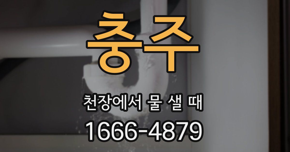 충주 천장에서 물 샐 때